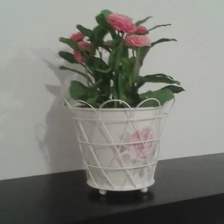 Calle Goles Appartement *