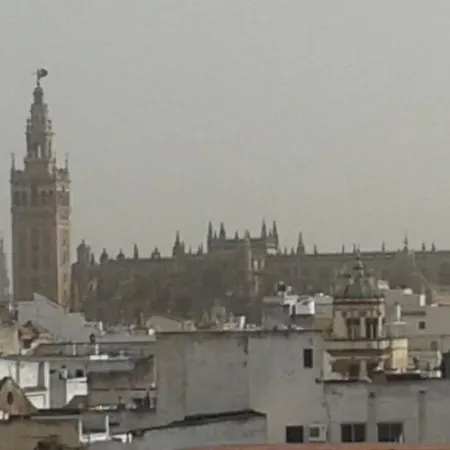 Calle Goles